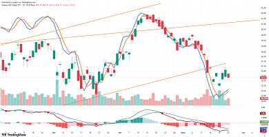 Ishares Msci Brazil ETF